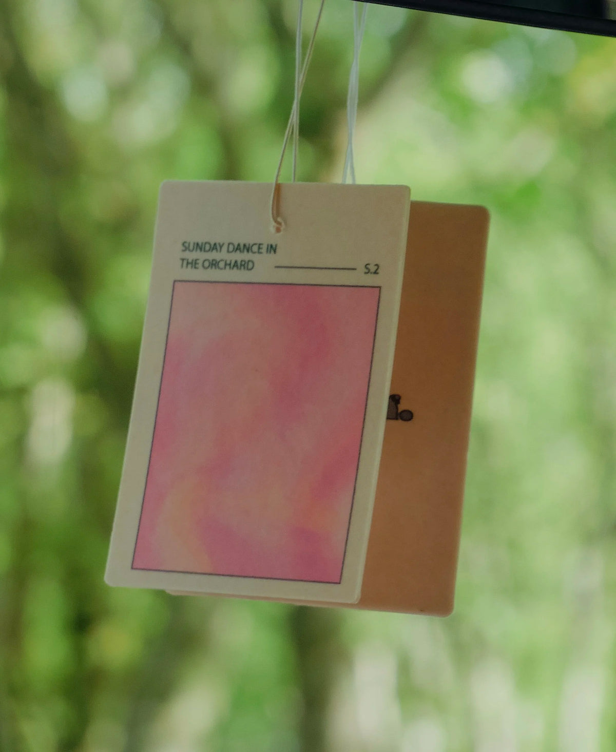 Mr Wiff Season II car air freshener lifestyle photo