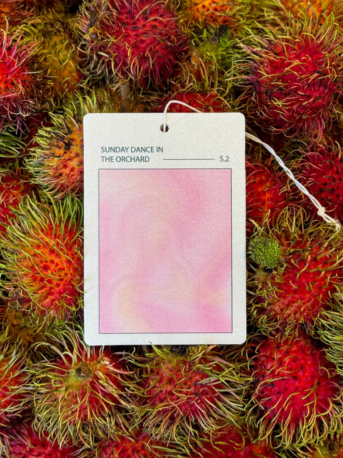 Sunday Dance in the Orchard guava and lychee car air freshener in a car